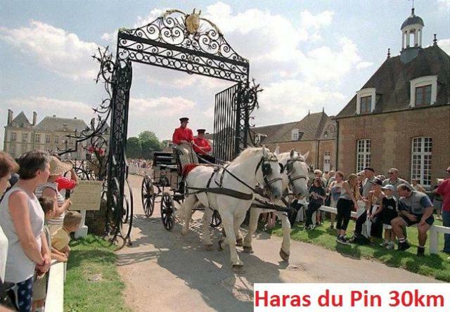 Haras De La Croix D'Argent Bed & Breakfast Saint-Sauveur-de-Carrouges Eksteriør bilde